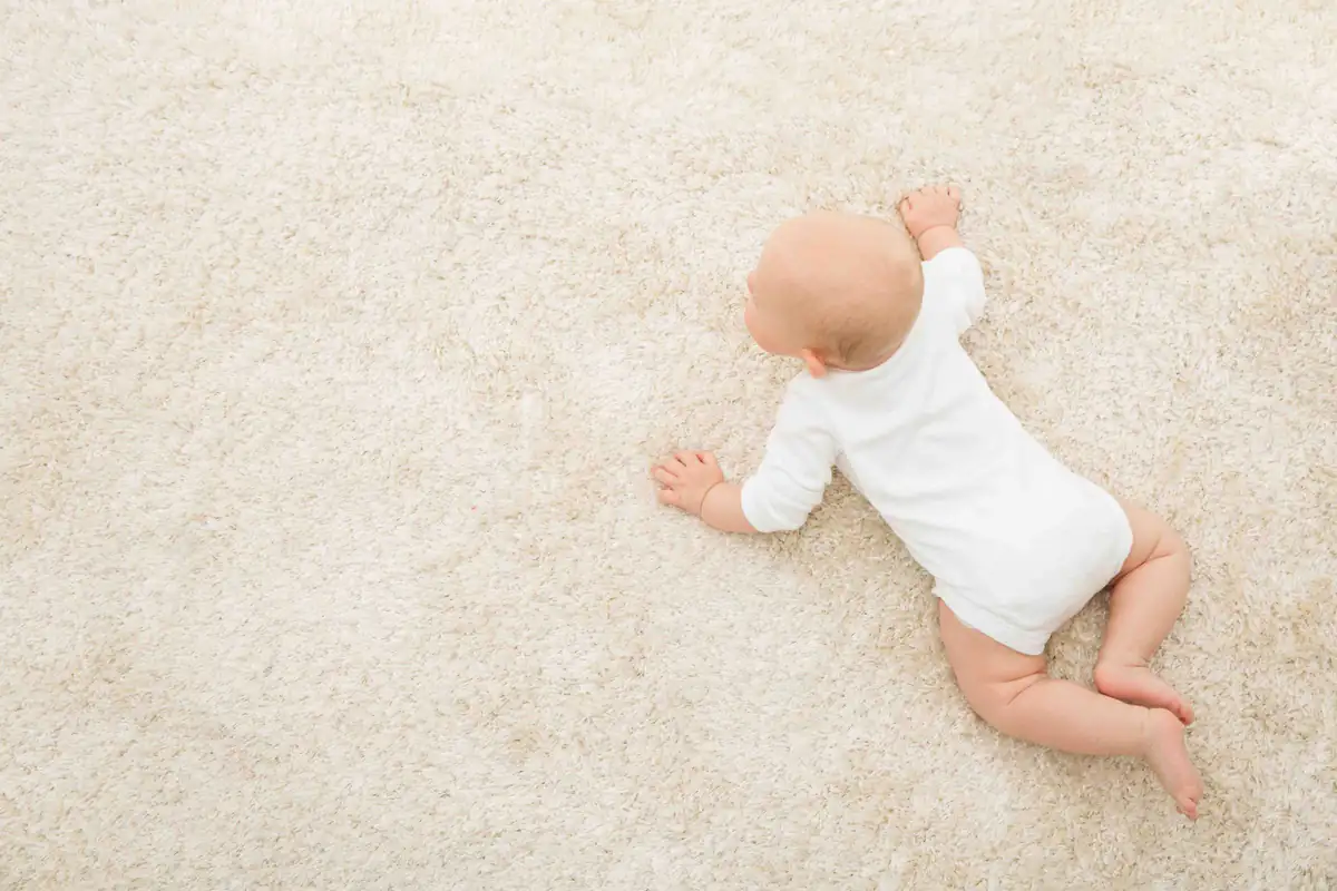 Soft cream carpet | Newcastle Carpet Cleaning Close-up of a soft, freshly cleaned cream carpet, Newcastle Carpet Cleaning